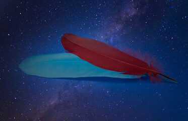 red and ble feather with a starry sky as a background