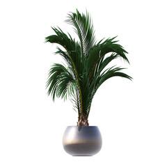 Obraz premium decorative flowers and plants for the interior, isolated on transparent background, 3D illustration, cg render