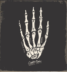 skull illustration sketch vector
