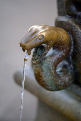 Snake head rush with flowing mineral water, healthy and fresh for all people and tourist