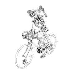 skull illustration sketch vector