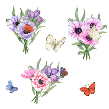 Watercolor set with anemones and butterflies isolated on white background. Floral elements for create Valentines day, birthday and mothers day cards, wedding invitation, for wrapping paper