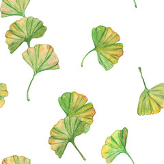 Seamless pattern ginkgo biloba green and yellow leaves, print botany foliage. Watercolor branches. Leaves clip art.