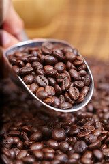 coffee beans in the spoon