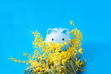 A blue piggy bank behind yellow mimosa flowers against blue background. Surreal concept for Valentine card or banner. Design for spring season editorial