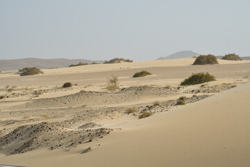Dunes of the Natural Park of Corralejo in Fuerteventura