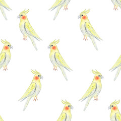 Watercolor corella yellow parrot seamless pattern on white