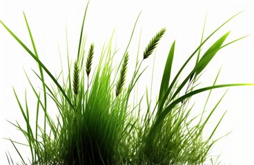 Naklejka premium Isolated green grass against a white background. Generative AI