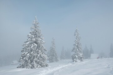Amazing winter scenery of Tatra Mountains - Rusinowa Polana (Rusinowa Glade) with  shepherd's huts, Tatra National Park, Poland © Iwona