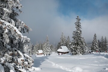 Amazing winter scenery of Tatra Mountains - Rusinowa Polana (Rusinowa Glade) with 
shepherd's huts, Tatra National Park, Poland