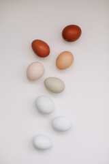 Happy Easter concept. Fresh chicken eggs of natural shades and colors on a white background