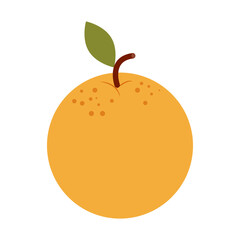Orange fruit icon. Flat illustration of orange fruit vector icon for web design
