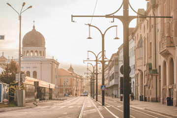 Fototapeta na wymiar Highlight the Art Nouveau-style hotels of Oradea, with their luxurious amenities, elegant rooms, and stunning architecture. Showcase the beautiful Art Nouveau homes of Oradea