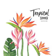Watercolor Tropical  Illustration. Watercolour Flowers and tropical leaves on the white background.