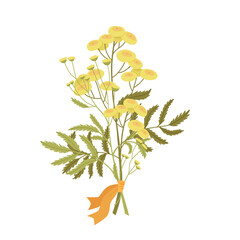 A neat vector bouquet of yellow flowers tied with a yellow ribbon. Tansy stems and flowers