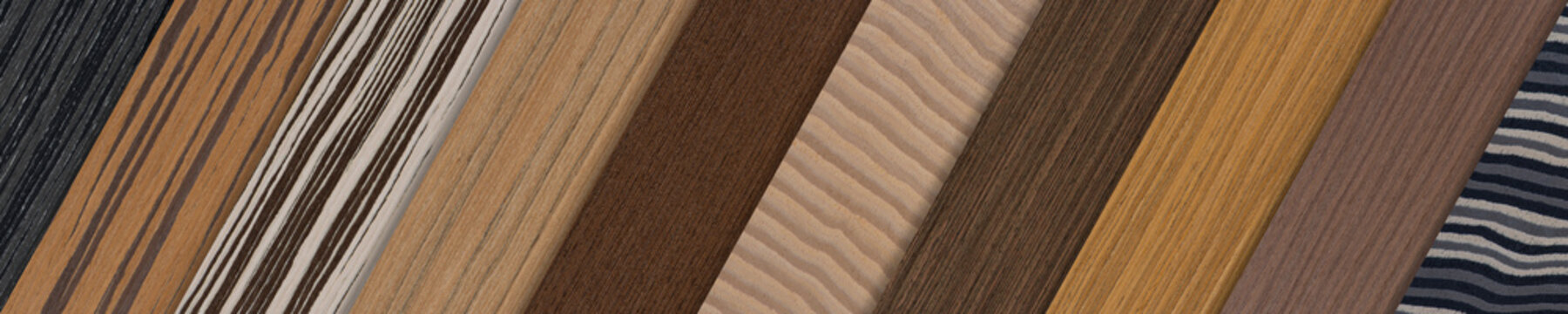 Samples of wood of different species. Pieces of wood veneer in different shades and textures. Samples of wood for the production of floor furniture or doors top view.