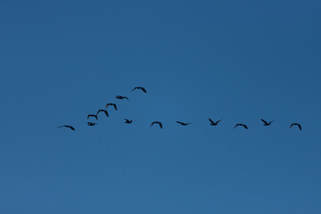 Praia , Leblon,  Beach, Rio de Janeiro, Brazil