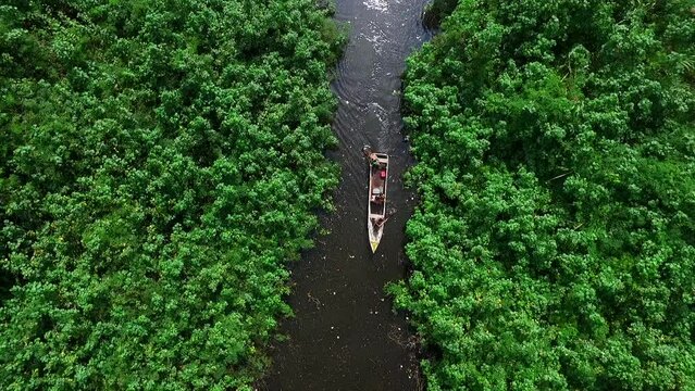 Amazon river crossed by boat with natives coming out of the thick Amazon jungle