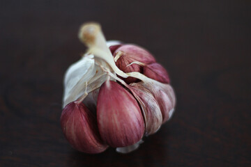 alho cru combate o colesterol