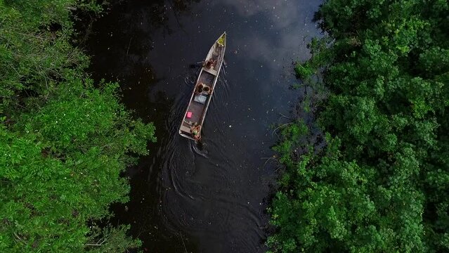 Amazon river crossed by boat with natives coming out of the thick Amazon jungle