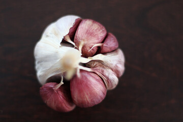 alho cru combate o colesterol