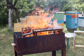 Frameworks with pests of honey bees are burned against background of apiaries and hives. Wax moth...