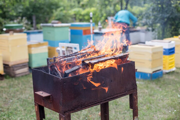Fighting honeybee diseases. Frames damaged by wax moth larvae in the fire. Medicine in beekeeping.