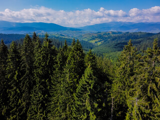 Aerial vIew by drone. Summer. Ukraine Carpatian mountains. 