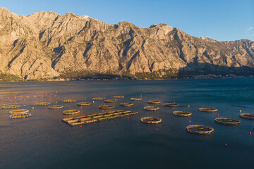 Aerial drone top view of sea fish farm cages and fishing nets, farming dorado, sea bream and sea...