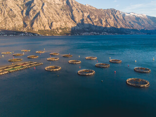 Aerial drone top view of sea fish farm cages and fishing nets, farming dorado, sea bream and sea...