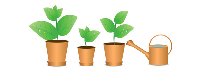 Wide banner on a white background, green plants in pots, spring seedlings, watering can. planting of greenery and watering