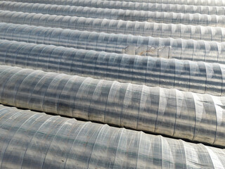 Folientunnel in der Landwirtschaft