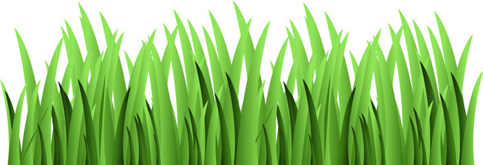 Green grass illustration