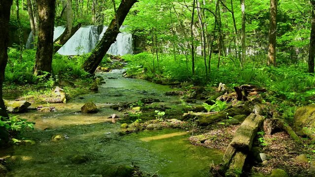 新緑の頃の奥入瀬渓流銚子大滝付近