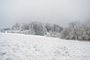 Beautiful winter landscape with lots of snow and trees in odenwald, germany