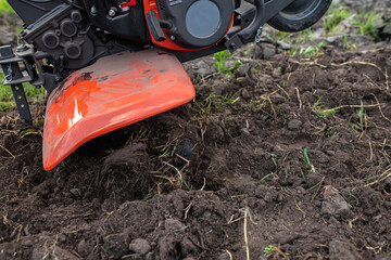 Motor cultivator with a raised front wheel and a furrow inserted into the ground during ploughing...