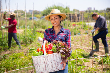 Fototapeta premium Successful latino farmer with basket of ripe vegetables at the plantation