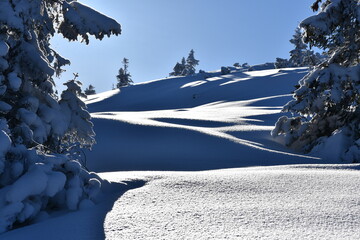 zima, śnieg, drzewa, krajobraz, niebo, biała, mróz, śnieżny, tpn, 