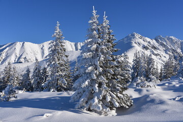 zima, śnieg, drzewa, krajobraz, niebo, biała, mróz, śnieżny, tpn,  - obrazy, fototapety, plakaty