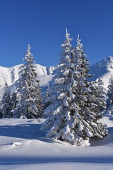 zima, śnieg, drzewa, krajobraz, niebo, biała, mr&oacute;z, śnieżny, tpn, 