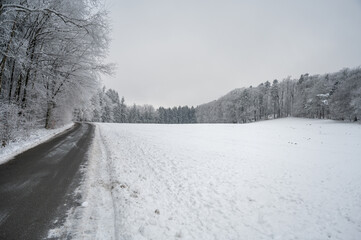 Obraz premium Beautiful winter landscape with lots of snow and a road, forest in the background