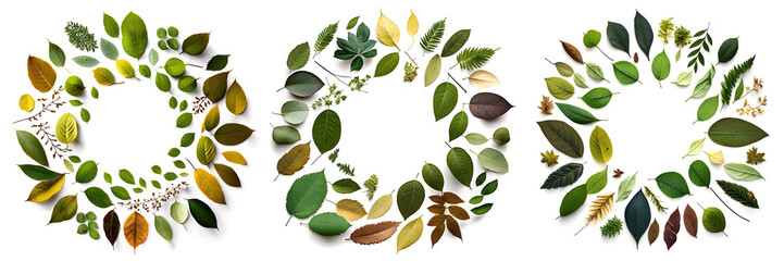 Set of circular floral banners made from various green leaves on white background. Round border or frame template with leaves and circular place for text. Generative AI