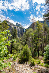 Yosemite
National Park
California