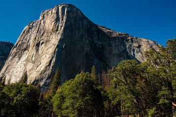 Yosemite
National Park
California
