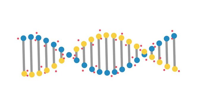 Animation of abstract DNA fragment with seamless loop on white background. Conceptual design of genetic information for science animation. Rotating DNA. 4K resolution.