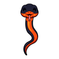 Fototapeta premium Cute ring necked snake cartoon