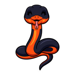 Fototapeta premium Cute ring necked snake cartoon
