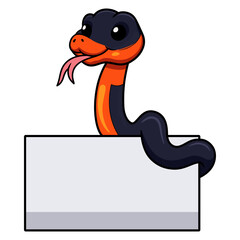 Cute ring necked snake cartoon with blank sign