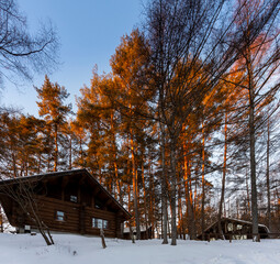 The woods log cabins with snowy rooftop, deep snow outside, morning serene natural landscape in Japan on January 2023.