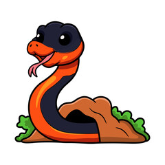 Cute ring necked snake cartoon out from hole